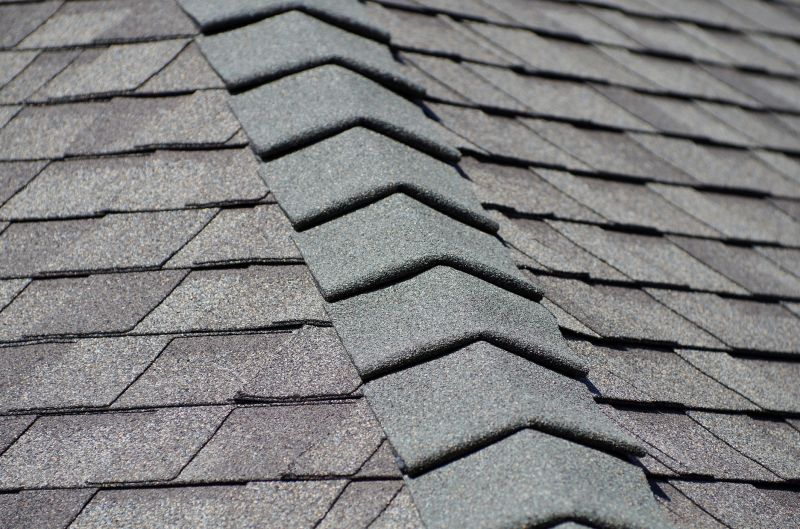 Expert Shingle Repair